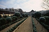 LADY FARM  SOMERSET  IN WINTER: THE FORMAL GARDEN WITH LOLLIPOPS OF LIGUSTRUM DELAVAYANUM AND BOX HEDGING