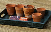 GREEN TRAY ON DECKING WITH SMALL TERRACOTTA POTS AND SEED PACKETS