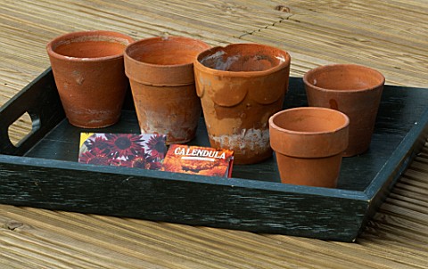 GREEN_TRAY_ON_DECKING_WITH_SMALL_TERRACOTTA_POTS_AND_SEED_PACKETS