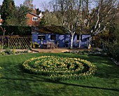 DAFFODIL MAZE IN GRASS MADE WITH NARCISSUS YELLOW CHEERFULNESS