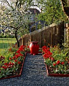 RED GARDEN: BLACK GLASS PATH WITH TULIP ROCOCO  EUPHORBIA FIREGLOW  RED AND BLACK POT WITH OPHIOPOGON PLANISCAPUS NIGRESCENS  BLUE GREENHOUSE AND A COX  APPLE TREE