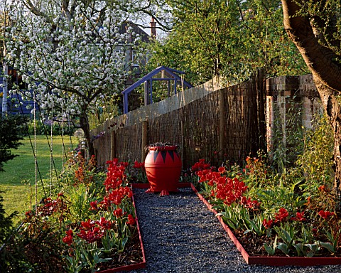 RED_GARDEN_BLACK_GLASS_PATH_WITH_TULIP_ROCOCO__EUPHORBIA_FIREGLOW__RED_AND_BLACK_POT_WITH_OPHIOPOGON