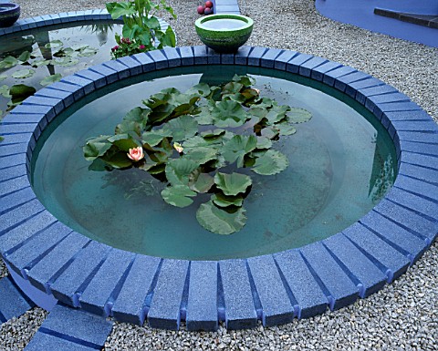 BLUE_CONCRETE_POND_SET_IN_GRAVEL_AND_PLANTED_WITH_WATERLILIES__DESIGNER_CAROLE_VINCENT