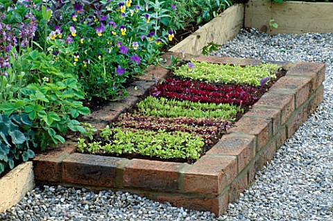 RAISED_BRICK_BED_PLANTED_WITH_LETTUCE_SEEDLINGS