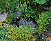 WILDLIFE POND IN DAVID AND MARIE CHASES GARDEN  HAMPSHIRE