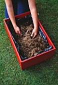 BOG IN A BOX: RED PAINTED WOODEN BOX LINED WITH BLACK BINLINER AND FILLED WITH COMPOST