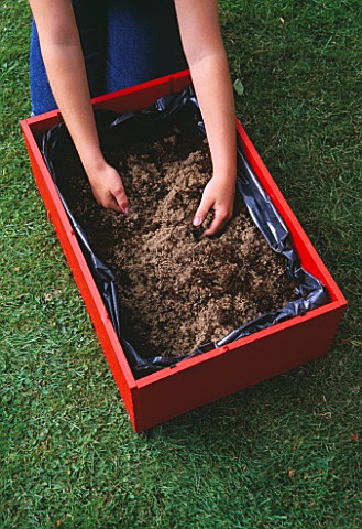 BOG_IN_A_BOX_RED_PAINTED_WOODEN_BOX_LINED_WITH_BLACK_BINLINER_AND_FILLED_WITH_COMPOST