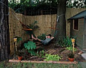 JUNGLE OUTPOST: BARK CHIPPINGS  DECK STEPPING STONES  DANIEL JAMES IN HAMMOCK  POND  RHEUM PALMATUM  REED SCREENING  LEOPARD POT WITH PHOENIX CANARIENSIS  CANDLES