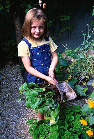 CONNIE_HOLDS_A_TRUG_FILLED_WITH_FRESHLY_HARVESTED_BEETROOT_WODAN_IN_THE_DECORATIVE_CHILDRENS_POTAGER