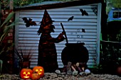 HALLOWEEN: WITCH AND COULDRON SILHOUETTE ON BLUE SHED CUT FROM PVC PONDLINER  LIT UP AT NIGHT.  DESIGNER: CLARE MATTHEWS