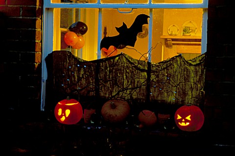 HALLOWEEN_WINDOWSILL_DECORATED_WITH_GOURDS__PUMPKINS__TWISTED_WILLOW_STICKS__STARS__A_BAT__AND_BLACK