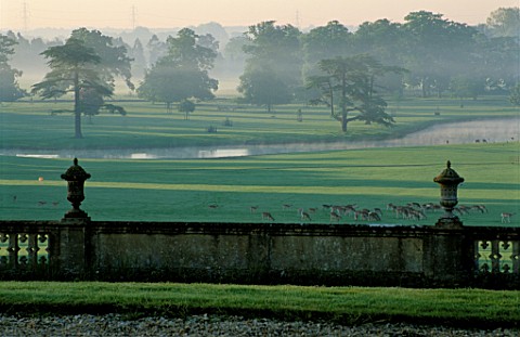 VIEW_FROM_ENGLEFIELD_HOUSE_ACROSS_THE_DEER_PARK_ENGLEFIELD_HOUSE__BERKSHIRE