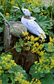 WOODEN SEAGULL ON A POST SURROUNDED BY ALCHEMILLA MOLLIS IN DAVID AND MARIE CHASES GARDEN  HAMPSHIRE