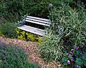 PALE BLUE WOODEN SEAT IN DAVID AND MARIE CHASES GARDEN  HAMPSHIRE