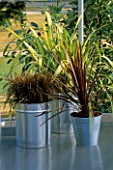 METAL CONTAINERS ON A ROOF GARDEN WITH CAREX AND PHORMIUMS IN MERCEDES BENZ GARDEN  HAMPTON COURT 2001. DESIGNER SARAH EBERLE