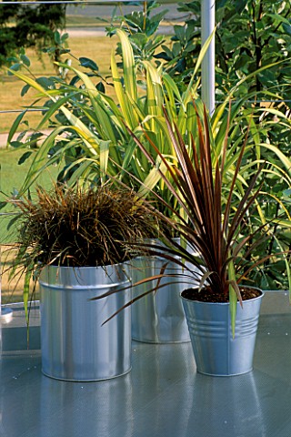 METAL_CONTAINERS_ON_A_ROOF_GARDEN_WITH_CAREX_AND_PHORMIUMS_IN_MERCEDES_BENZ_GARDEN__HAMPTON_COURT_20