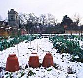 THE KITCHEN GARDEN IN SNOW  WITH SEAKALE POTS IN THE F/G. CHENIES MANOR HOUSE GARDENS  BUCKINGHAMSHIRE