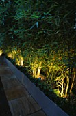 ROOF TERRACE WITH DECKING AT NIGHT: GALVANISED CONTAINERS PLANTED WITH BAMBOOS  LIT FROM BELOW. DESIGNERS: WYNNIATT-HUSEY CLARKE