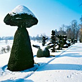 TOPIARY SHAPES IN SNOW AT GATACRE PARK  SHROPSHIRE