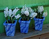 WHITE HYACINTHS IN MARBLED POTS BY JEAN HARPER