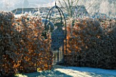 FROSTED IRON GATE IN BEECH HEDGE LEADING TO THE FORMAL GARDEN AT LADY FARM  SOMERSET