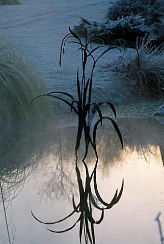 MIST_RISES_FROM_THE_POOL_WITH_A_GRASS_FOUNTAIN_BY_HUMPHREY_BODEN__LADY_FARM__SOMERSET_REFLECTION