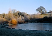 THE FROSTED LAKE  AT LADY FARM  SOMERSET