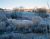 PRAIRIE PLANTING AND THE LAKE IN FROST  LADY FARM  SOMERSET