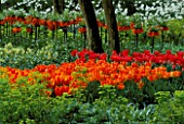 TULIPS AND FRITILLARIA IMPERIALIS AT FLORIADE 2002  HOLLAND