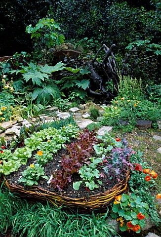 RAISED_WICKER_BED_IN_CHILDRENS_GARDEN_PLANTED_LIKE_A_BOAT_WITH_CARROTS__SWISS_CHARD__CHIVES__LETTUCE