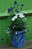 MARBLED POT BY JEAN HARPER PLANTED BY CLARE MATTHEWS WITH WHITE COSMOS  NIEREMBERGIA SCOPARIA MONT BLANC AND DELPHINIUM DELPHIX