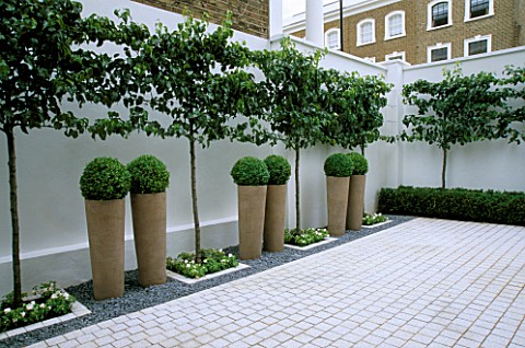 COURTYARD__ICE_WHITE_SAWN_GRANITE_SETTS__EARTHENWARE_POTS_PLANTED_WITH_BOX_BALLS__ESPALIERED_PYRUS_C