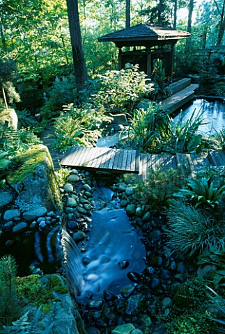 WATERFALL_TUMBLE_DOWN_A_HILL_INTO_THE_KOI_POND_WITH_INDONESIAN_GAZEBO_BESIDE_IT_IN_THE_WOODLAND__DES