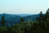 VIEW OF THE CASCADE MOUNTAINS FROM THE WOODLAND. DESIGNERS: ILGA JANSONS AND MIKE DRYFOOS  SEATTLE  USA