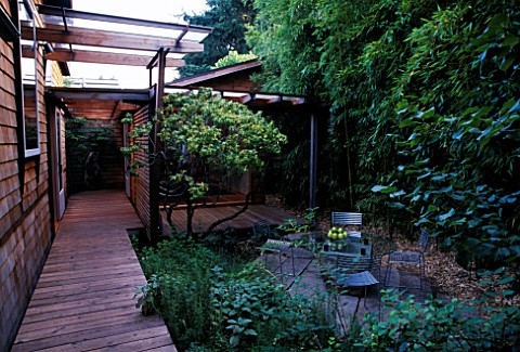 VIEW_OF_HOUSE_WITH_DECKING__BAMBOOS__METAL_CHAIRS_AND_GLASS_TABLE_DESIGNER_BOB_SWAIN__SEATTLE__USA