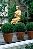 GOLD BUDDHA AND BOX BALLS ON A ROOF GARDEN DESIGNED BY CLAIRE MEE