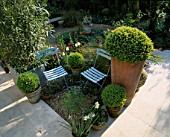 SMALL GARDEN DESIGNED BY LISETTE PLEASANCE: BLUE CAFE CHAIRS  BOX BALLS IN TERRACOTTA POTS  HARD ITALIAN LIMESTONE FLOORING  TULIPS AND GRAVEL