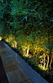 GALVANISED METAL CONTAINERS PLANTED WITH BAMBOOS LIT UP AT NIGHT: DESIGNERS: WYNNIAT - HUSEY CLARKE