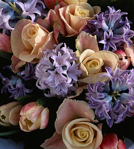 ROSES__HYACINTHS_AND_TULIPS