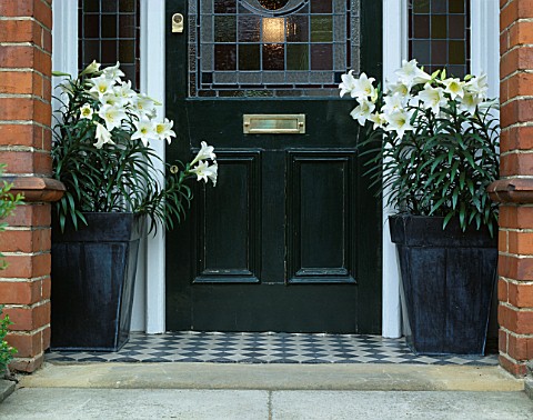 MONT_BLANC_LILIES_IN_BLACK_ZINC_CONTAINERS_EITHER_SIDE_OF_GREEN_DOORS_DESIGNER_CLARE_MATTHEWS