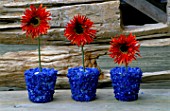 BLUE GLASS CONTAINER PLANTED WITH FAKE RED GERBERA. CLARE MATTHEWS PROJECT