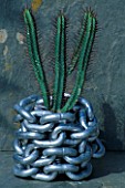 METAL CHAIN WRAPPED CONTAINER PLANTED WITH EUPHORBIA PENTAGONA. CLARE MATTHEWS PROJECT