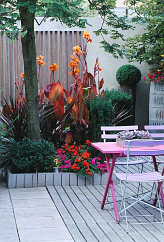 BLUE_CAFE_CHAIRS__PINK_WOODEN_TABLE__DECKING_AND_GALVANISED_TRAY_PLANTED_WITH_SUCCULENTS__WITH_CANNA
