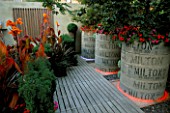 DECKING AND CONCRETE DRAINAGE PIPES PLANTED WITH BUSY LIZZIES AND LIT WITH NEON RINGS  WITH BOX AND ORANGE CANNAS : DESIGNER: STEPHEN WOODHAMS