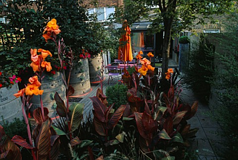 VIEW_TOWARDS_FLAT_WITH_ORANGE_CANNAS_AND_CONCRETE_DRAINAGE_CONTAINERS_PLANTED_WITH_BUSY_LIZZIES_DESI
