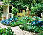 FAMILY POTAGER BY CLARE MATTHEWS: GRAVEL  WOODEN OBELISKS  CARDOONS  NASTURTIUMS  CABBAGES  CLIPPED BOX AND BAY AND A SUMMERHOUSE