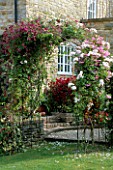 LAUNA SLATTERS GARDEN  OXFORDSHIRE: METAL ROSE PERGOLA IN FRONT OF THE HOUSE PLANTED WITH CLIMBING ROSE NEW DAWN  AND CLEMATIS VITICELLA PURPUREA PLENA ELEGANS