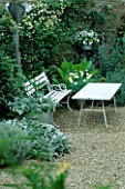 LAUNA SLATTERS GARDEN  OXFORDSHIRE: WHITE TABLE AND BENCH IN GRAVEL GARDEN SURROUNDED BY CLEMATIS PAUL FARGES  NICOTIANA SYLVESTRIS  STACHYS BYZANTINA AND A METAL TULIP