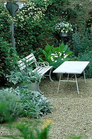 LAUNA_SLATTERS_GARDEN__OXFORDSHIRE_WHITE_TABLE_AND_BENCH_IN_GRAVEL_GARDEN_SURROUNDED_BY_CLEMATIS_PAU