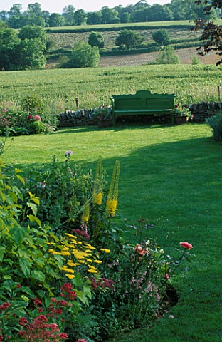 LAUNA_SLATTERS_GARDEN__OXFORDSHIRE_LAWN_WITH_GREEN_BENCH_AND_BORDER_WITH_EREMURUS__CENTRANTHUS_RUBER